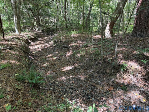 Tiny photo for 11317 Sapony Church Rd RD, Mc Kenney, VA 23872 (MLS # 2625539)