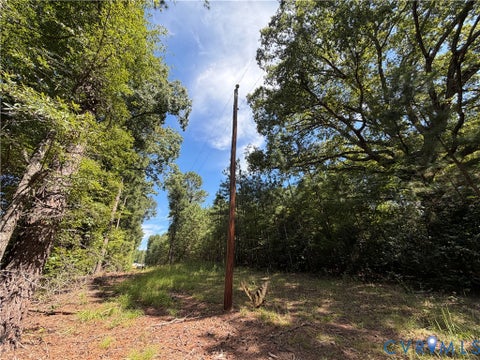 Tiny photo for 11317 Sapony Church Rd RD, Mc Kenney, VA 23872 (MLS # 2625539)