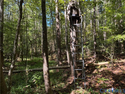 Tiny photo for 11317 Sapony Church Rd RD, Mc Kenney, VA 23872 (MLS # 2625539)