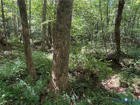 Tiny photo for 11317 Sapony Church Rd RD, Mc Kenney, VA 23872 (MLS # 2625539)