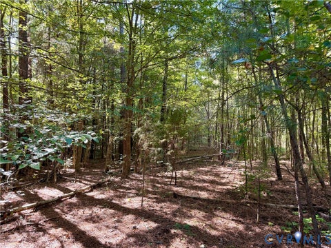 Tiny photo for 11317 Sapony Church Rd RD, Mc Kenney, VA 23872 (MLS # 2625539)