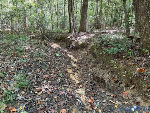 Tiny photo for 11317 Sapony Church Rd RD, Mc Kenney, VA 23872 (MLS # 2625539)