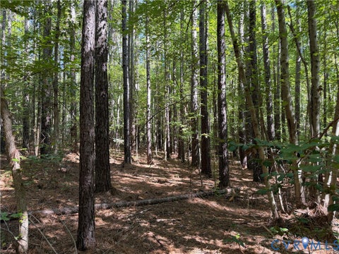 Tiny photo for 11317 Sapony Church Rd RD, Mc Kenney, VA 23872 (MLS # 2625539)