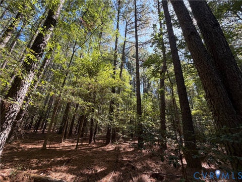 Tiny photo for 11317 Sapony Church Rd RD, Mc Kenney, VA 23872 (MLS # 2625539)