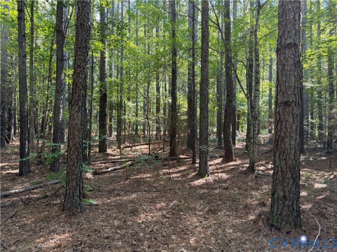 Tiny photo for 11317 Sapony Church Rd RD, Mc Kenney, VA 23872 (MLS # 2625539)