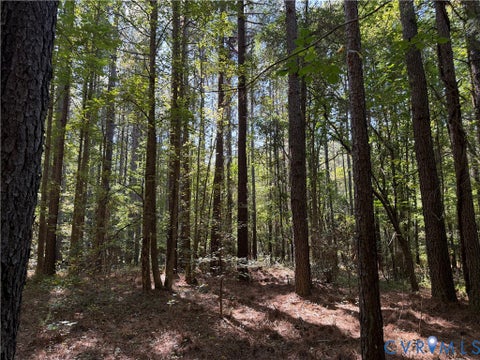 Tiny photo for 11317 Sapony Church Rd RD, Mc Kenney, VA 23872 (MLS # 2625539)