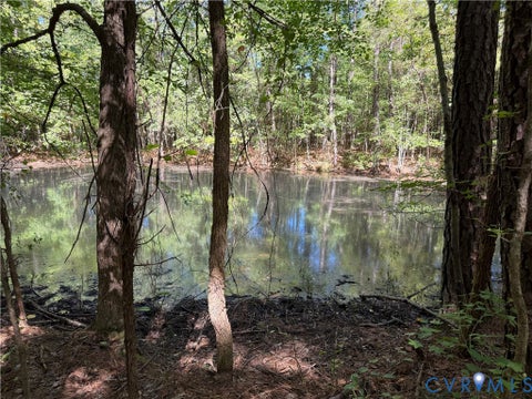 Photo of 11317 Sapony Church Rd RD, Mc Kenney, VA 23872 (MLS # 2625539)
