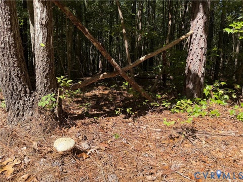 Tiny photo for 11317 Sapony Church Rd RD, Mc Kenney, VA 23872 (MLS # 2625539)