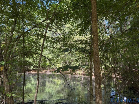 Tiny photo for 11317 Sapony Church Rd RD, Mc Kenney, VA 23872 (MLS # 2625539)