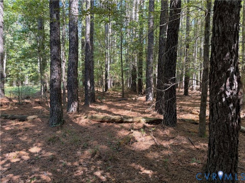 Tiny photo for 11317 Sapony Church Rd RD, Mc Kenney, VA 23872 (MLS # 2625539)