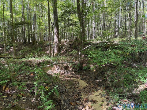 Tiny photo for 11317 Sapony Church Rd RD, Mc Kenney, VA 23872 (MLS # 2625539)