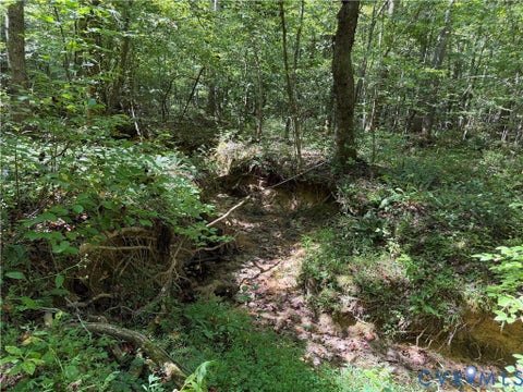 Tiny photo for 11317 Sapony Church Rd RD, Mc Kenney, VA 23872 (MLS # 2625539)
