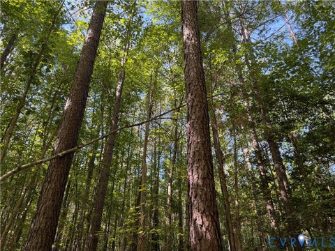 Tiny photo for 11317 Sapony Church Rd RD, Mc Kenney, VA 23872 (MLS # 2625539)