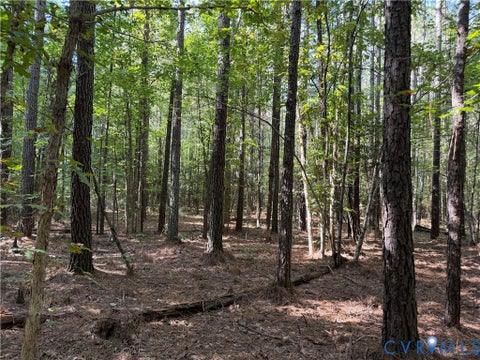 Tiny photo for 11317 Sapony Church Rd RD, Mc Kenney, VA 23872 (MLS # 2625539)