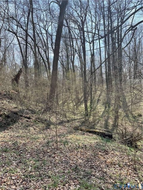 Tiny photo for 0 Laurel Park Road, Essex, VA 22560 (MLS # 2606557)