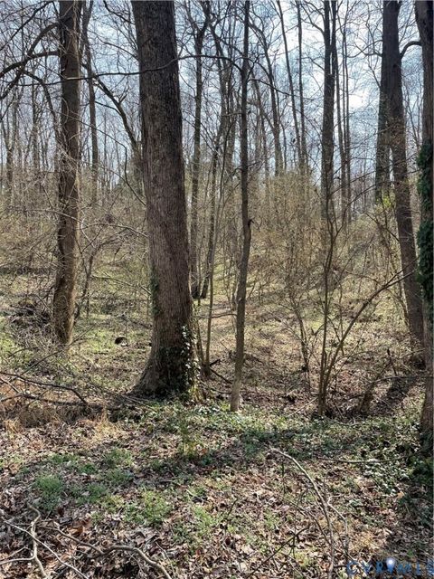Tiny photo for 0 Laurel Park Road, Essex, VA 22560 (MLS # 2606557)
