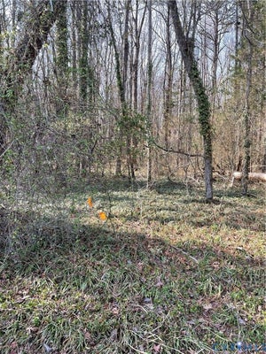 LAUREL PARK RD, TAPPAHANNOCK, VA 22560 - Image 16aefd381f107a23a633593d0a9efb4f/457416792