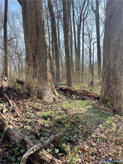 Tiny photo for 0 Laurel Park Road, Essex, VA 22560 (MLS # 2606557)