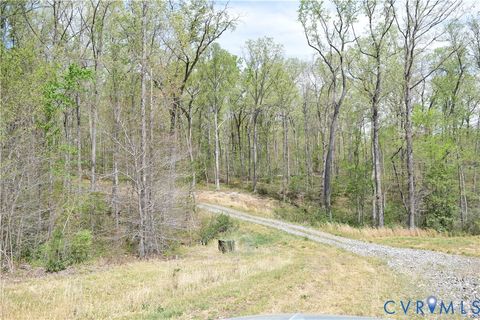 Tiny photo for 1075 Freshwater Creek Road, Mineral, VA 23117 (MLS # 2613609)