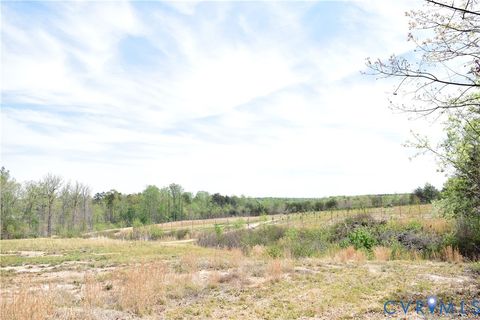 Tiny photo for 1075 Freshwater Creek Road, Mineral, VA 23117 (MLS # 2613609)