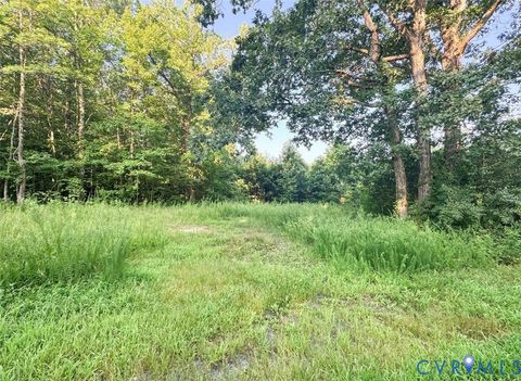 Tiny photo for Raw Land Nannie Burton, Louisa, VA 23093 (MLS # 2516490)