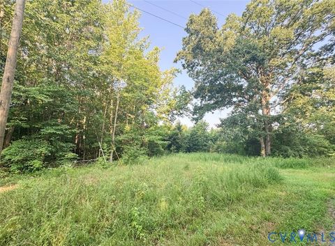 Tiny photo for Raw Land Nannie Burton, Louisa, VA 23093 (MLS # 2516490)