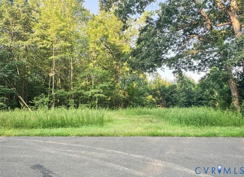 Tiny photo for Raw Land Nannie Burton, Louisa, VA 23093 (MLS # 2516490)