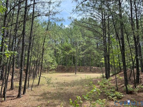 Tiny photo for 00 Sussex Drive, Stony Creek, VA 23882 (MLS # 2616792)
