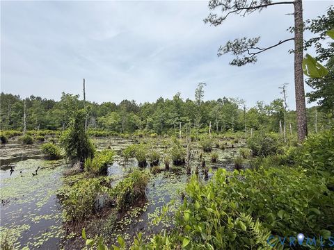 Tiny photo for 00 Sussex Drive, Stony Creek, VA 23882 (MLS # 2616792)