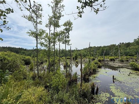 Tiny photo for 00 Sussex Drive, Stony Creek, VA 23882 (MLS # 2616792)