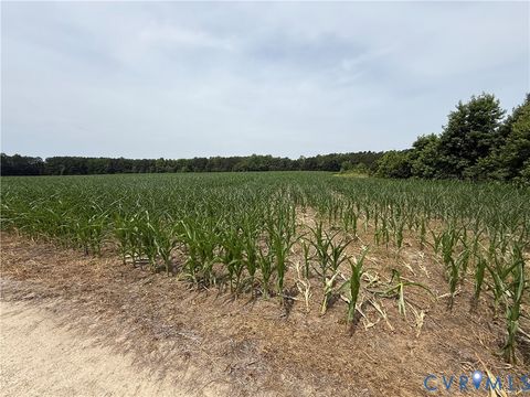 Tiny photo for 00 Sussex Drive, Stony Creek, VA 23882 (MLS # 2616792)