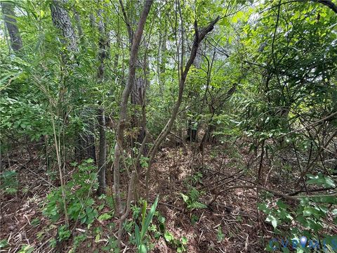 Tiny photo for 00 Sussex Drive, Stony Creek, VA 23882 (MLS # 2616792)