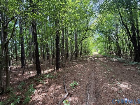 Tiny photo for 00 Sussex Drive, Stony Creek, VA 23882 (MLS # 2616792)