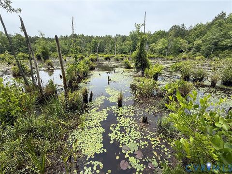 Tiny photo for 00 Sussex Drive, Stony Creek, VA 23882 (MLS # 2616792)