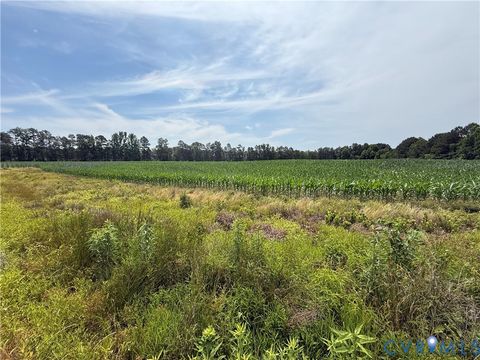 Tiny photo for 00 Sussex Drive, Stony Creek, VA 23882 (MLS # 2616792)