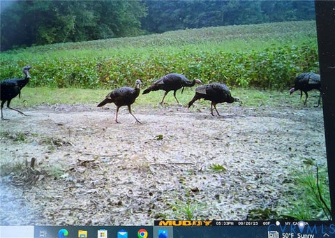Tiny photo for 00 Sussex Drive, Stony Creek, VA 23882 (MLS # 2616792)