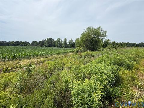 Tiny photo for 00 Sussex Drive, Stony Creek, VA 23882 (MLS # 2616792)