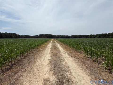 Tiny photo for 00 Sussex Drive, Stony Creek, VA 23882 (MLS # 2616792)