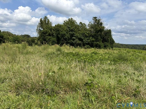 Tiny photo for 00 W Third Street, Farmville, VA 23901 (MLS # 2623718)