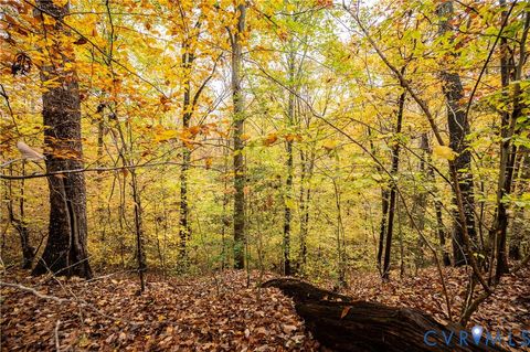 Tiny photo for 0 Walnut Grove Farm Lane, Hanover, VA 23069 (MLS # 2530482)