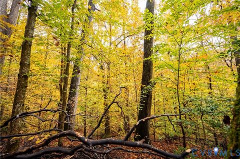 Tiny photo for 0 Walnut Grove Farm Lane, Hanover, VA 23069 (MLS # 2530482)