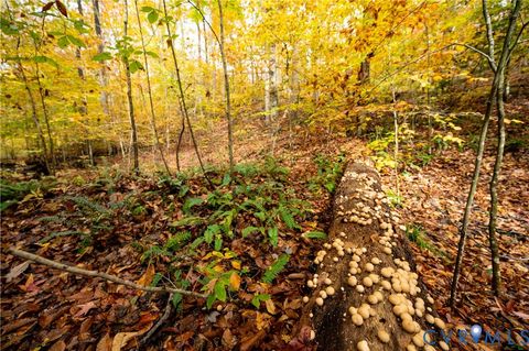 Tiny photo for 0 Walnut Grove Farm Lane, Hanover, VA 23069 (MLS # 2530482)