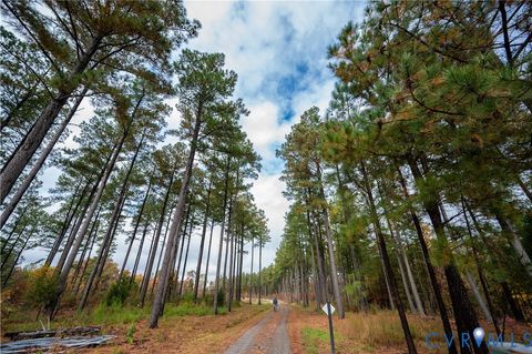 Tiny photo for 0 Walnut Grove Farm Lane, Hanover, VA 23069 (MLS # 2530482)