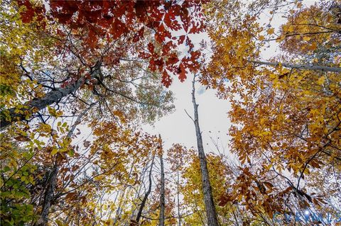 Tiny photo for 0 Walnut Grove Farm Lane, Hanover, VA 23069 (MLS # 2530482)