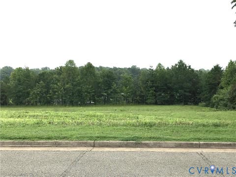 Tiny photo for 2 Lots Main Street, Dillwyn, VA 23936 (MLS # 2623409)