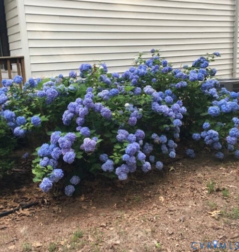 Tiny photo for 138 W Spring Road, Aylett, VA 23009 (MLS # 2626411)