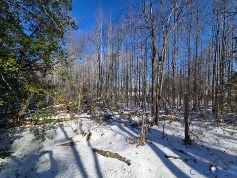Tiny photo for 0 Tabscott Road, Kents Store, VA 23084 (MLS # 2617824)
