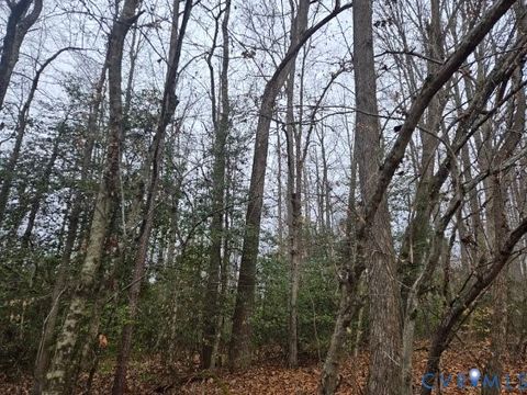 Photo of 0 Tabscott Road, Kents Store, VA 23084 (MLS # 2617824)
