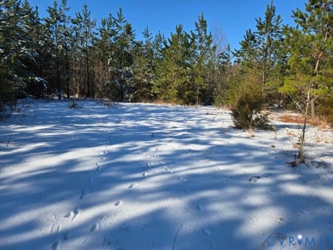 Tiny photo for 0 Tabscott Road, Kents Store, VA 23084 (MLS # 2617824)