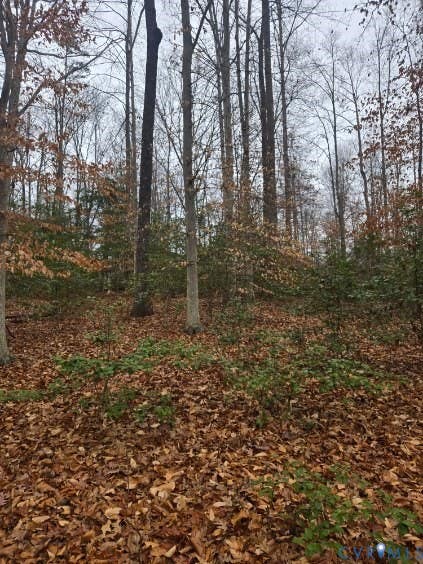 Tiny photo for 0 Tabscott Road, Kents Store, VA 23084 (MLS # 2617824)